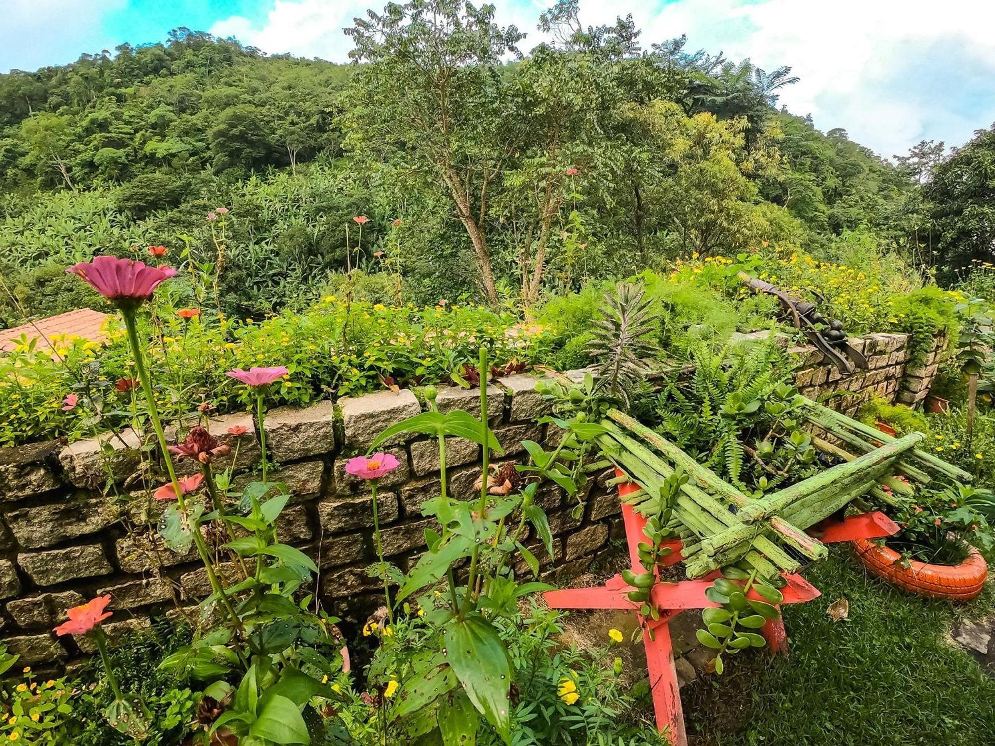 Saíra Recanto de Serra Mulungu  Exterior foto